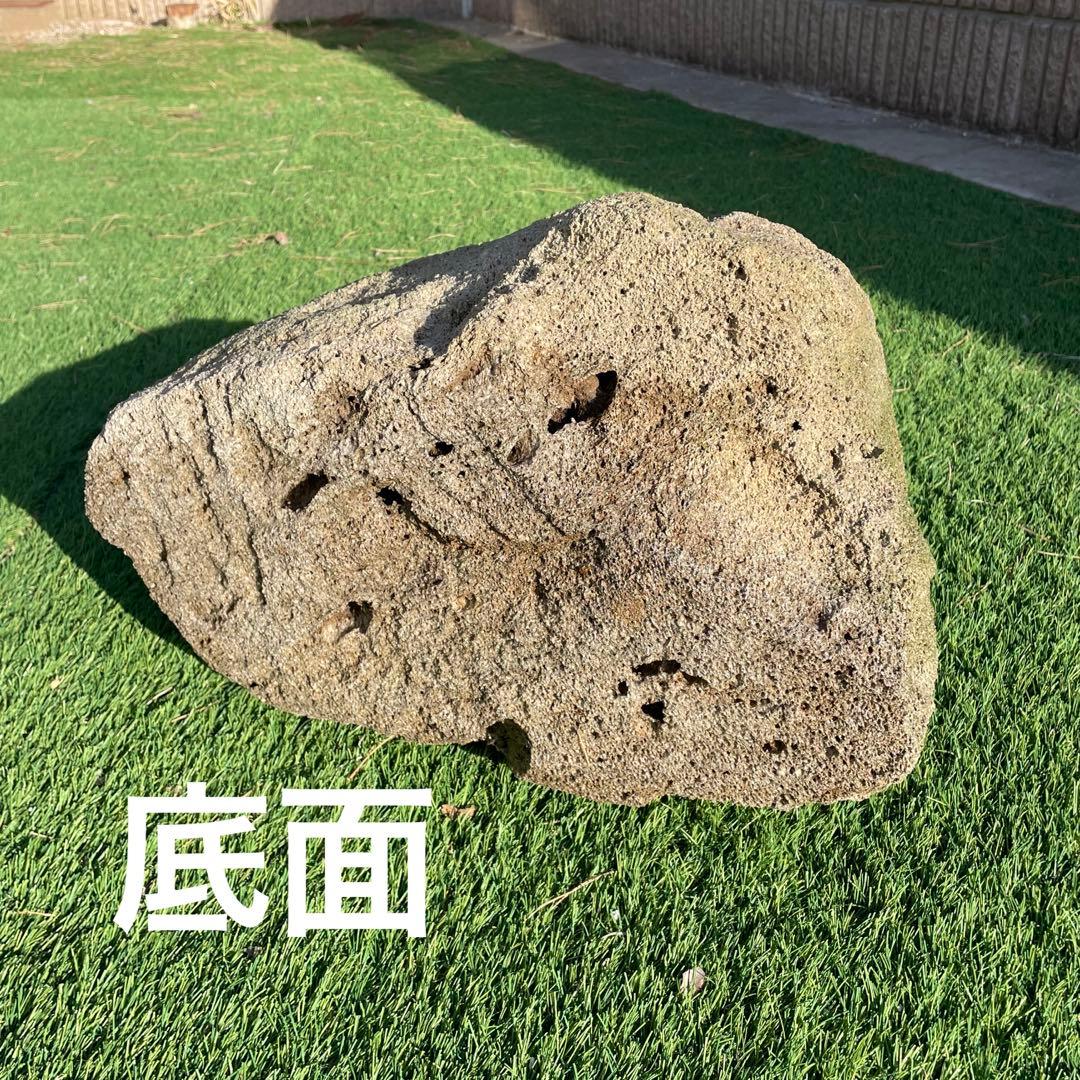 庭石 火山岩 軽石 天然石 穴ありガーデニングアクアリウム 水槽石 山草鉢 石鉢