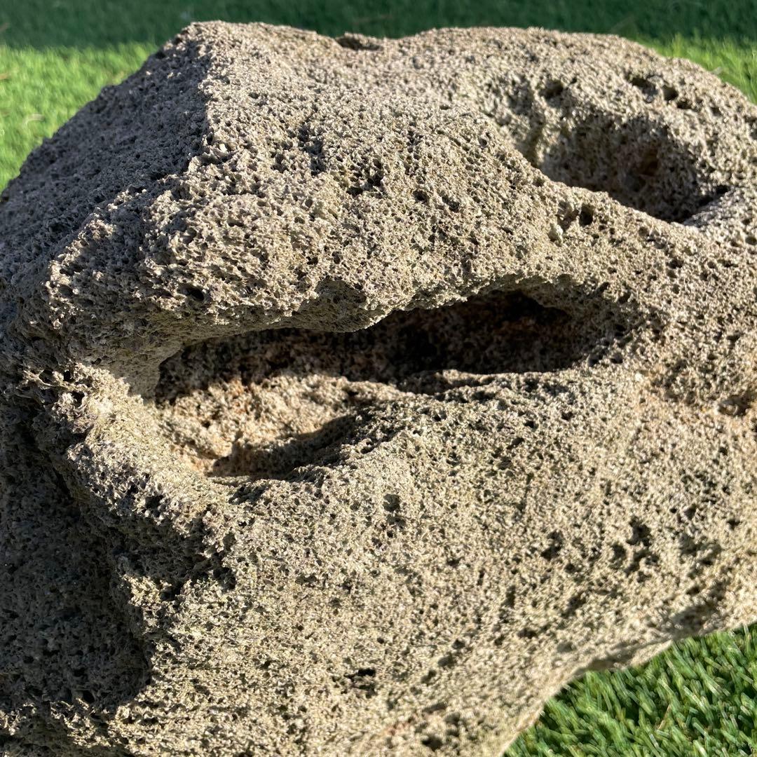 庭石 火山岩 軽石 天然石 穴ありガーデニングアクアリウム 水槽石 山草鉢 石鉢