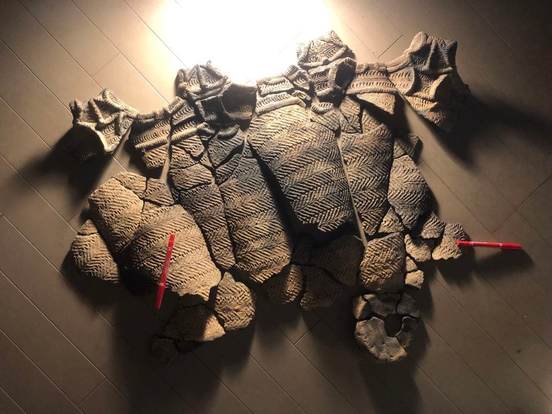 「縄文土器の欠片 No.507」です。