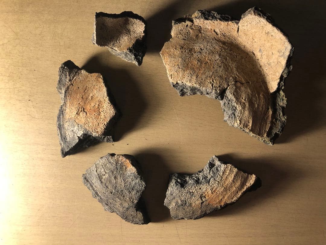 「縄文土器の欠片 No.507」です。