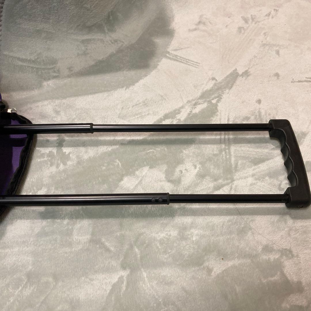 ANNA SUI キャリーバック