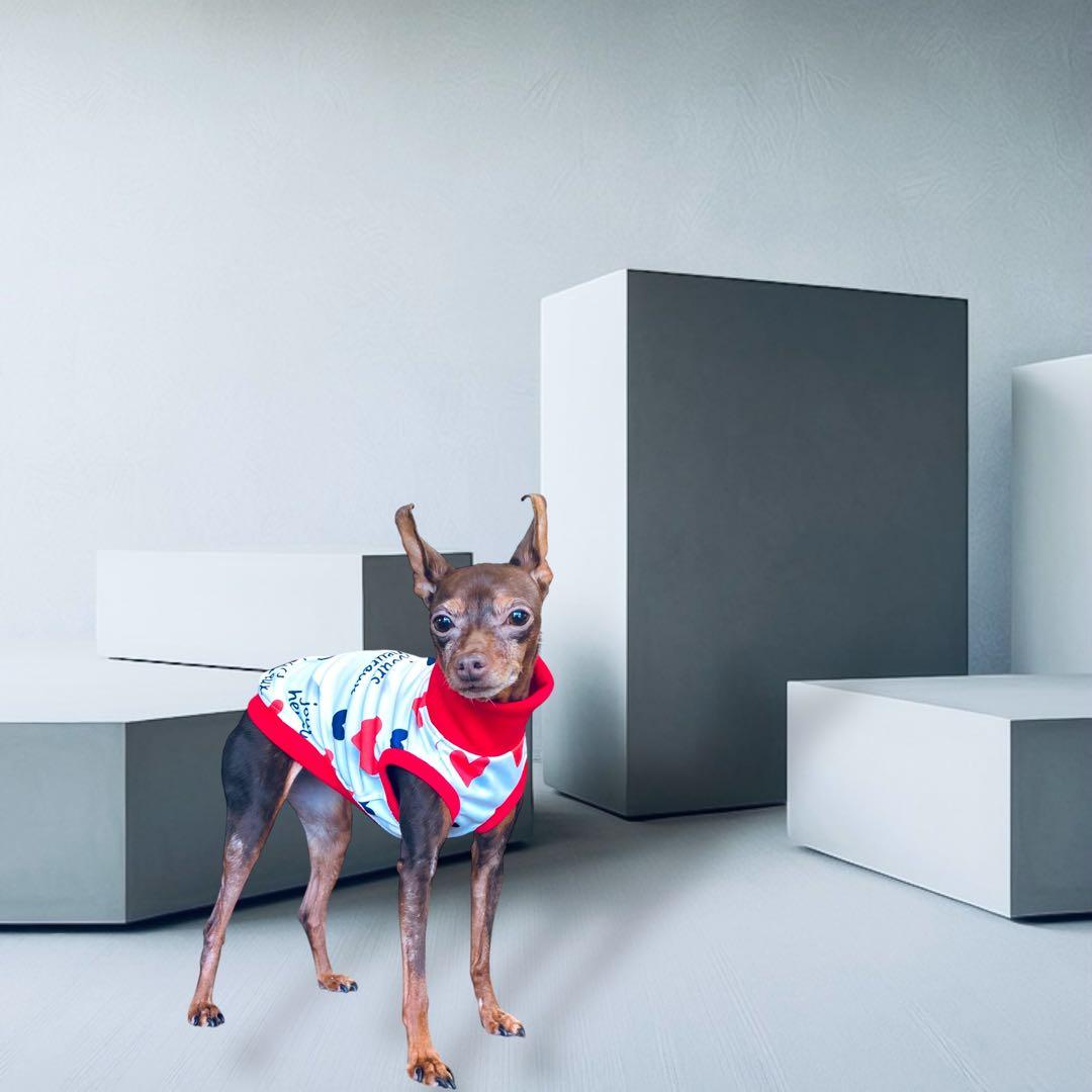 ⑰jours heureux original heart