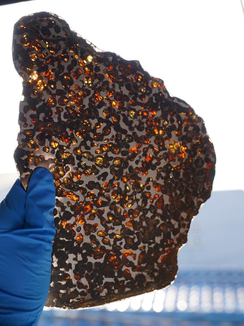 【超レア・BIGサイズ】セリコ パラサイト隕石 高透光 高品質 345.7g