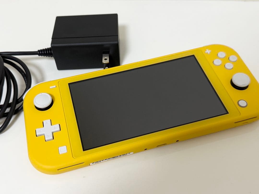 Nintendo Switch Lite ケース付き