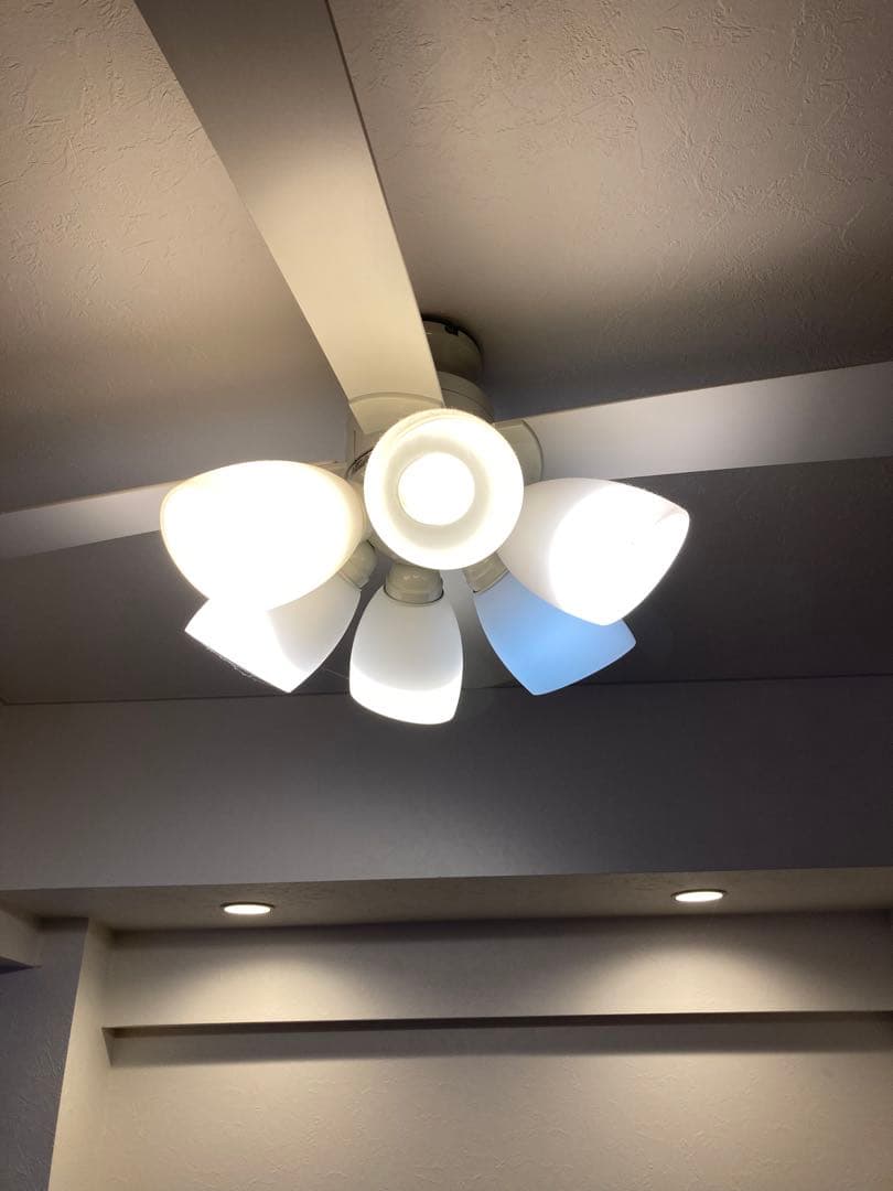 ホワイト シーリングファン ライト付き
