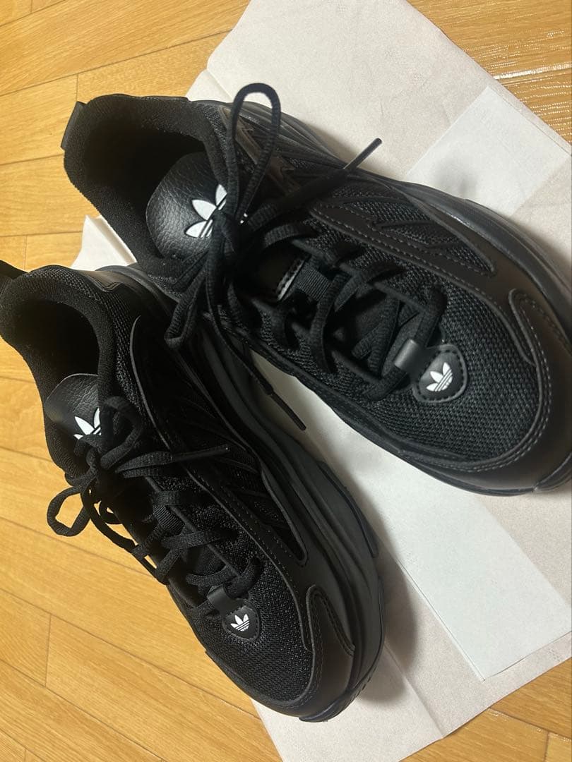 24.5cm：adidas オズガイア / OZGAIA