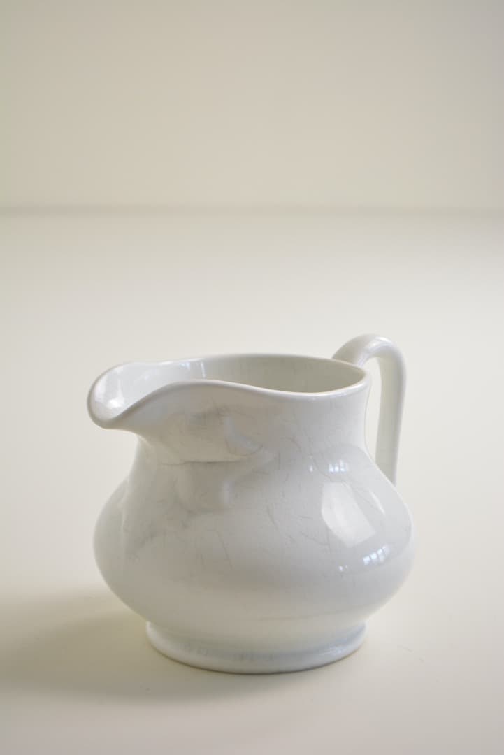 サルグミンヌ ピシェ  フランス