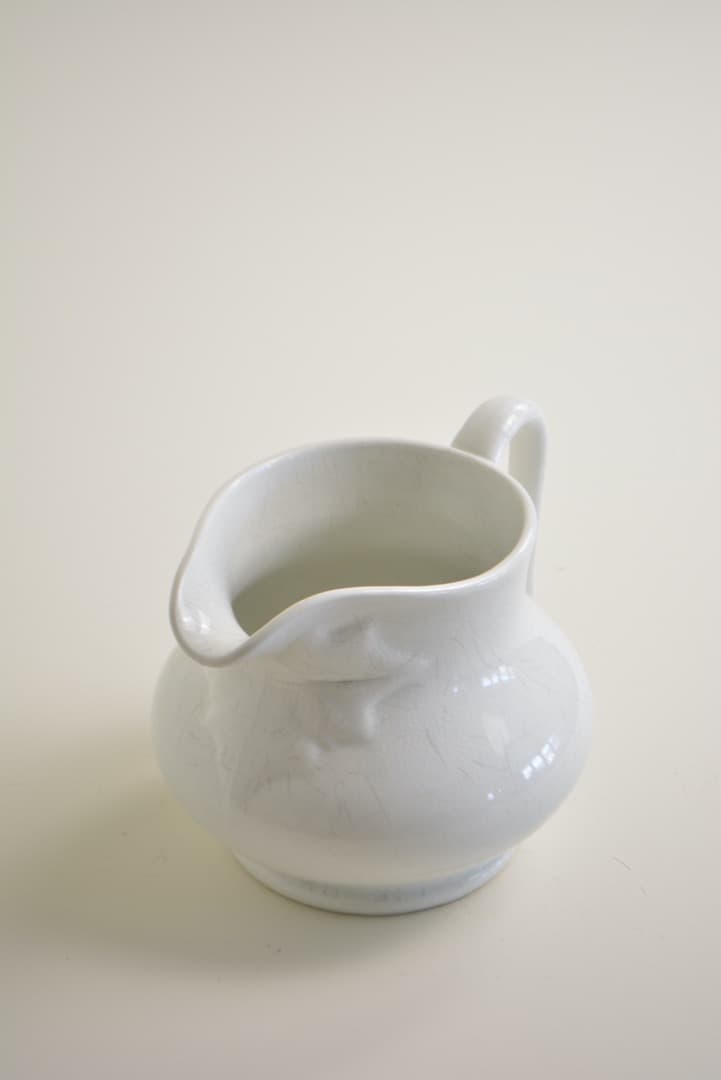 サルグミンヌ ピシェ  フランス