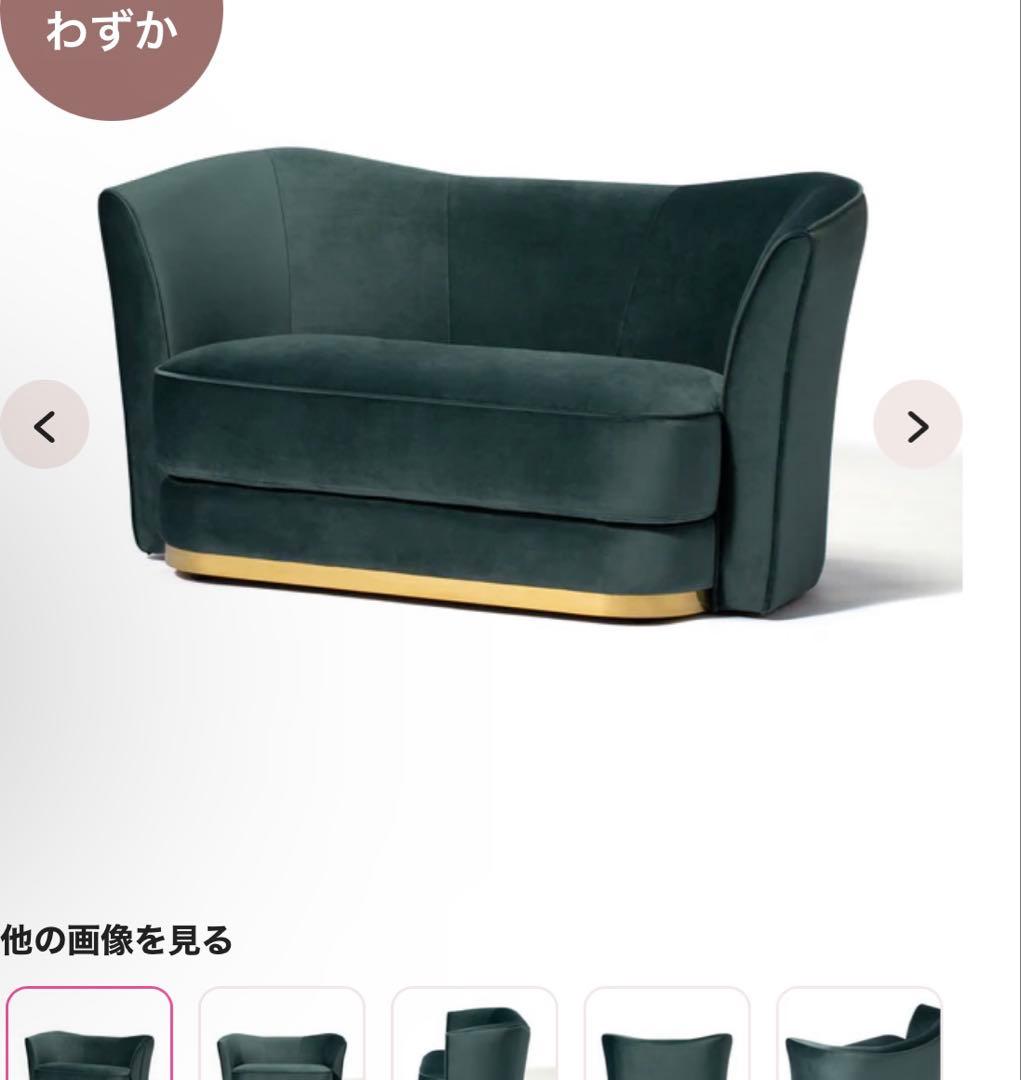 【送料込み】Francfranc 2人掛けソファ