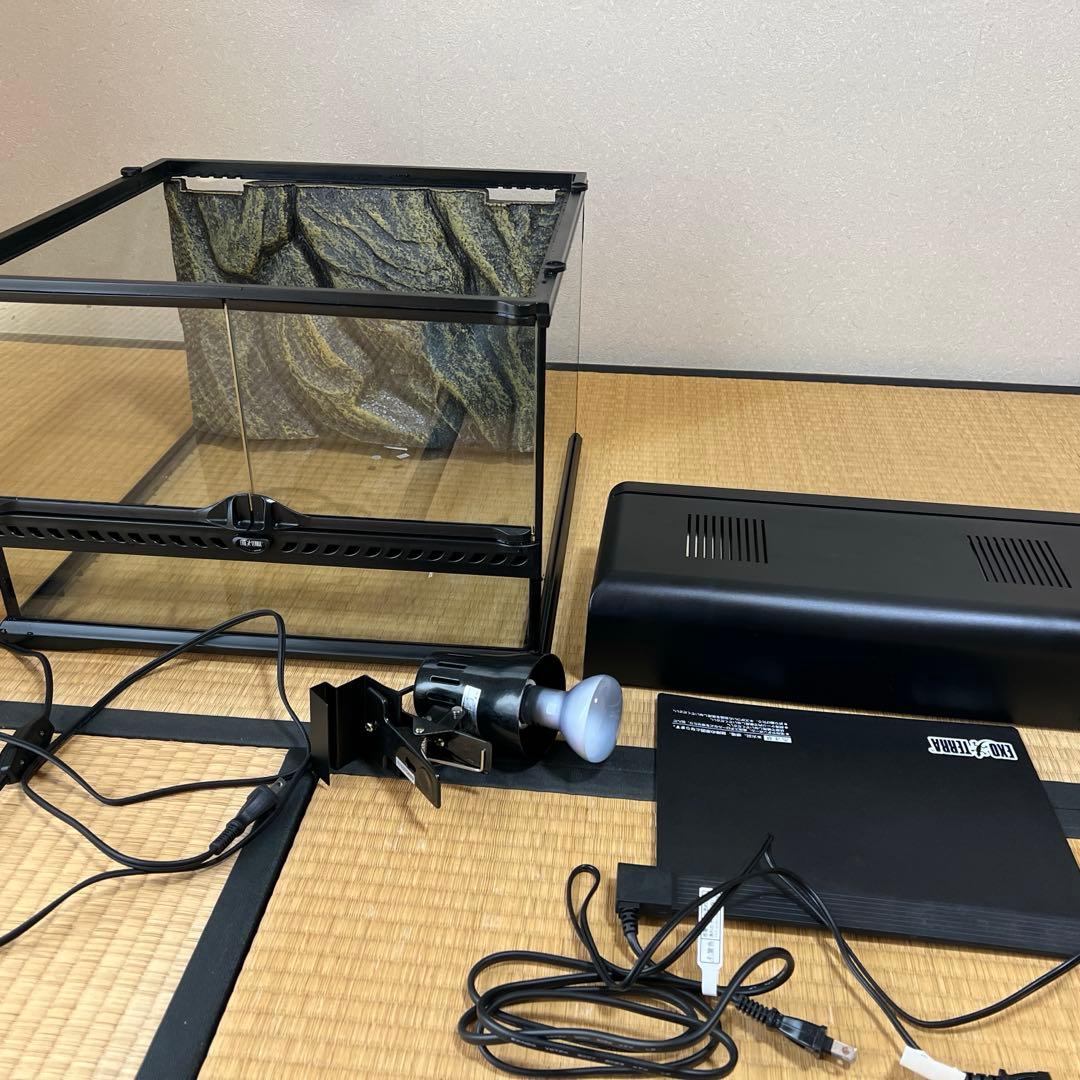 グラステラリウム セット