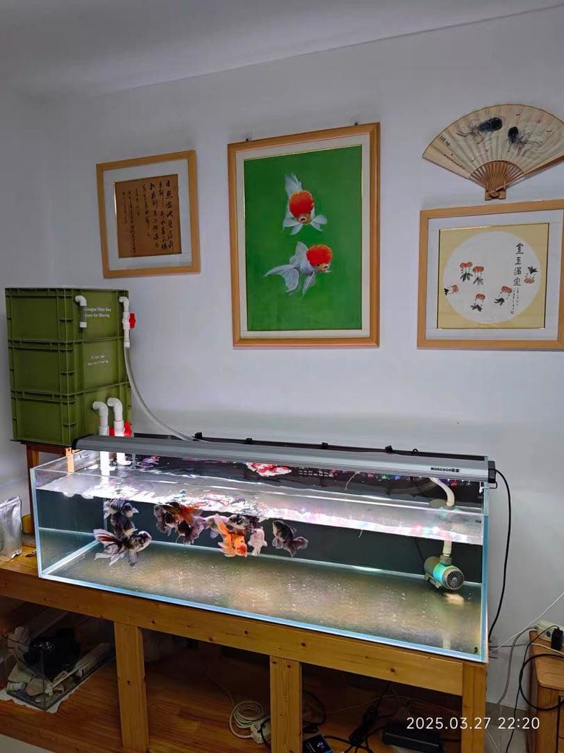 水中ポンプ2種以上ろ材2段付き　水槽池ろ過フィルター　オーバーフロー濾過器装置