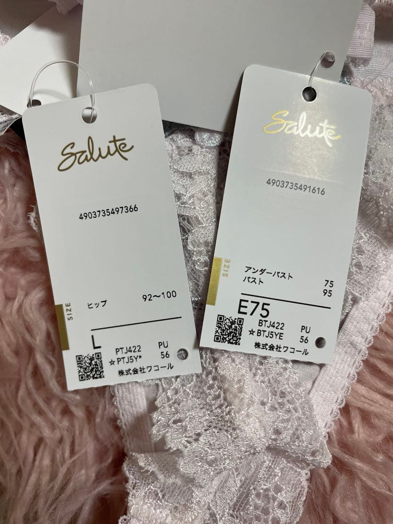 Salute ブラジャー&ソングE75 / L