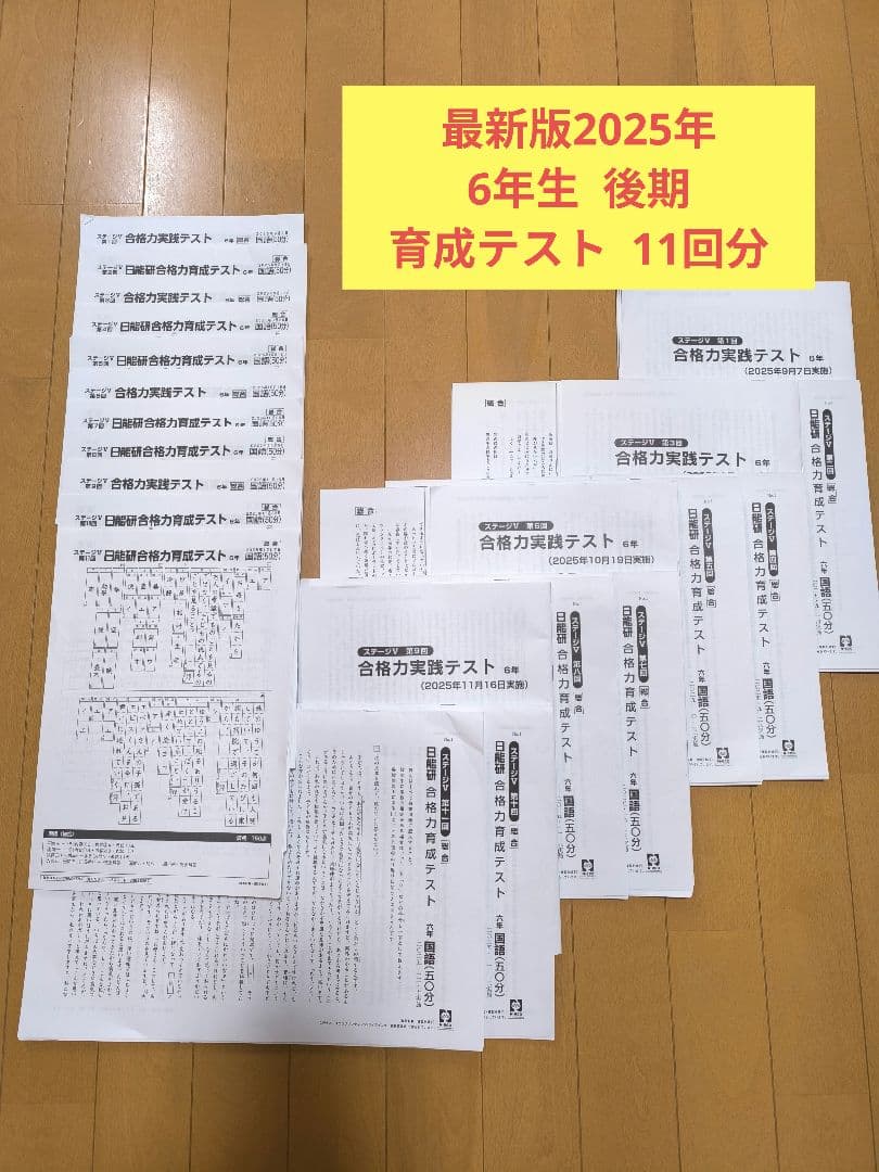 最新2025年度日能研 学習力育成テスト 後期 6年生全11回分