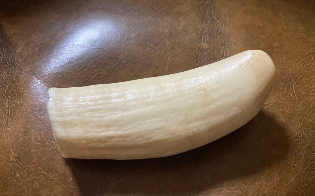 鯨歯 約9.5cm 約86.3g マッコウ鯨牙　抹香鯨