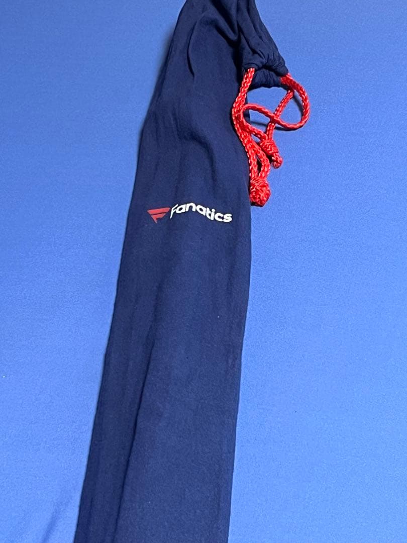 フェルナンドタティスjr直筆サイン入りバット