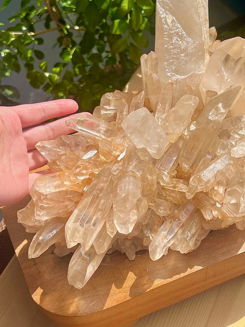 レア　超BIG 天然ピンク　マニカラン産　クラスター【3 ㌕】　置物　風水