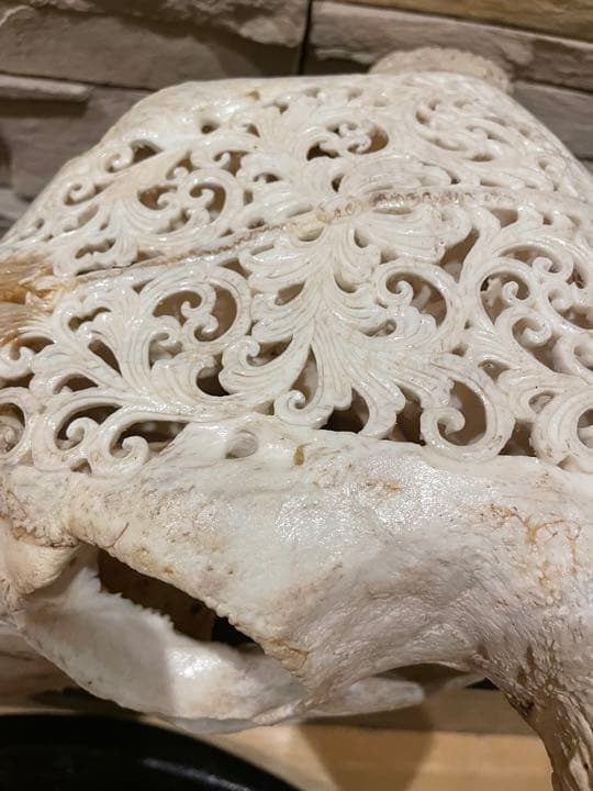 豊饒の水牛　彫刻　壁飾り