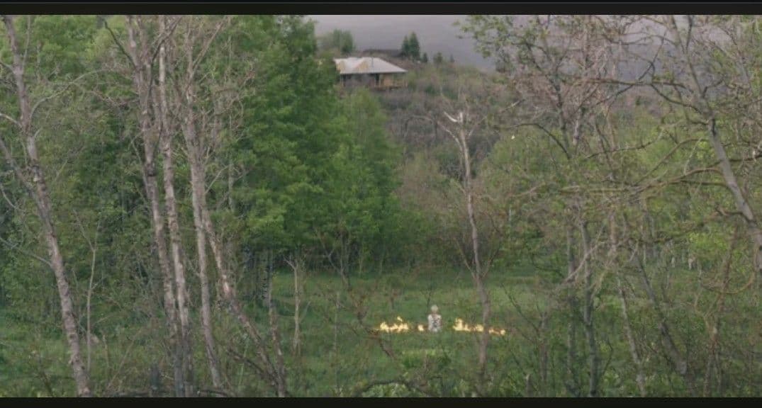 e*1様 A24 × Online Ceramics　ヘレディタリー　映画　パー