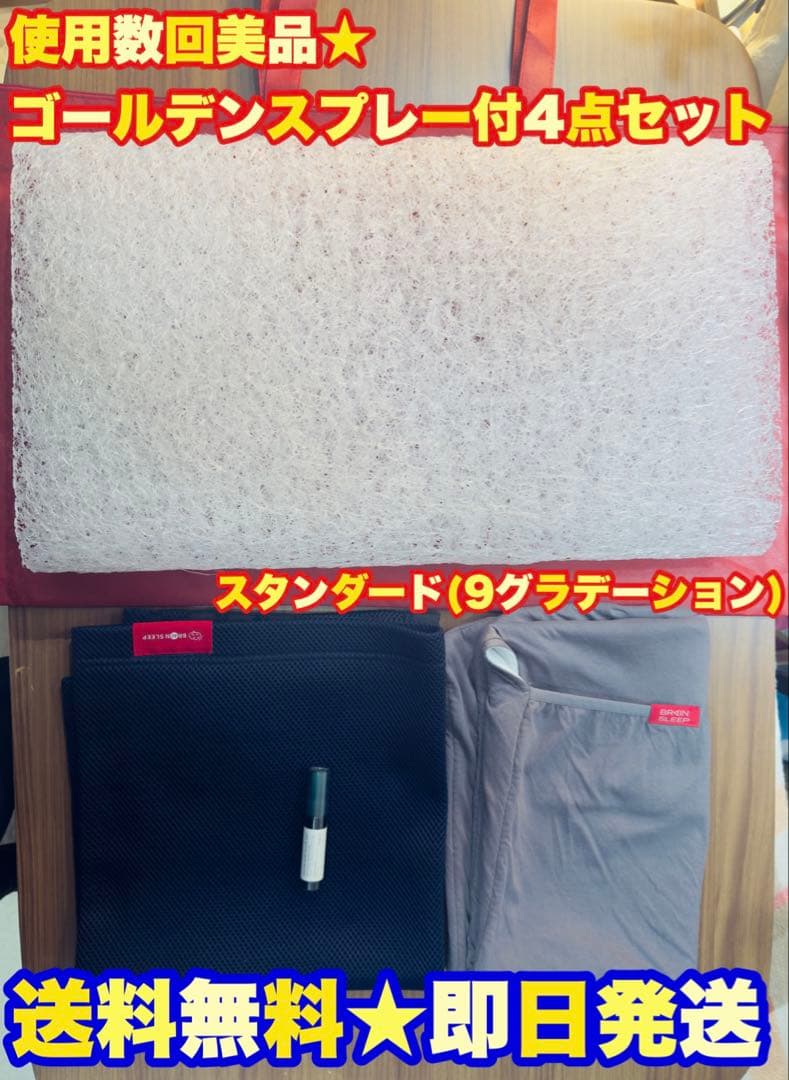 【美品★定価4万超】BRAIN SLEEP PILLOW ブレインスリープピロー