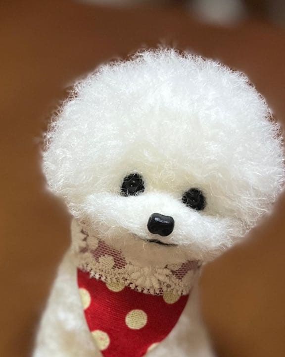 羊毛フェルト　ビジョンフリーゼ