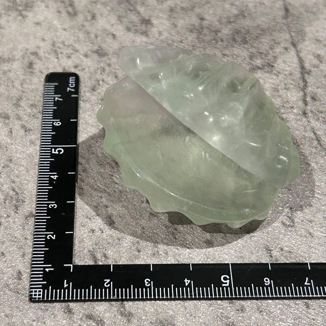 ぴぃ⭐︎天然石　フローライト貝殻&8thオーシャンジャスパー