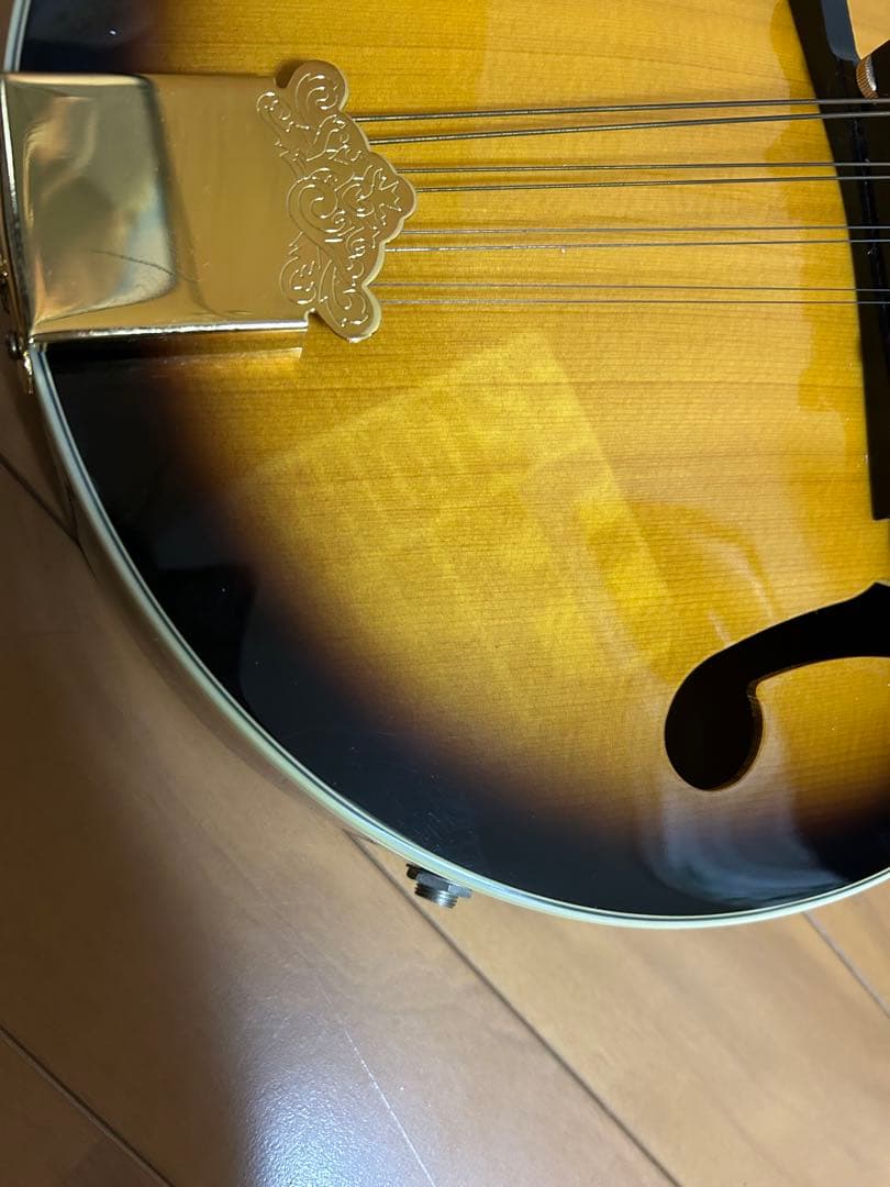 【Epiphone MM-30S マンドリン】ピックアップ搭載！