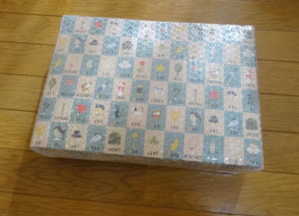 Fire max 11 64GB　使用回数少 ケース付き