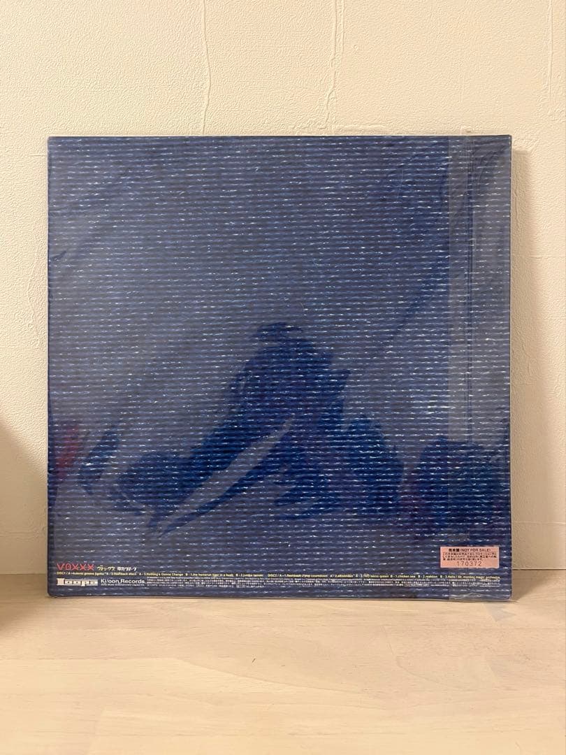 電気グルーヴ DENKI GROOVE VOXXX レコード