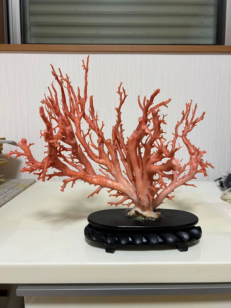 天然深海赤珊瑚　ピンク珊瑚 枝珊瑚　置物 宝石　原木　sango サンゴ　希少