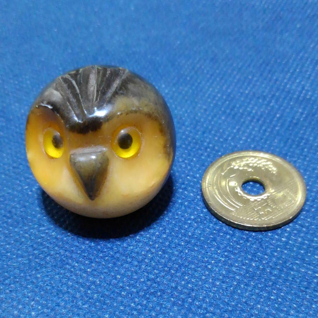 ♥️♥️珍しい！小さなフクロウ③