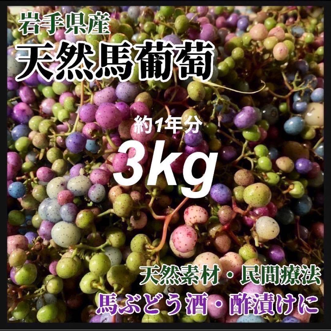 【採れたて】馬ぶどう250g×12袋　1年分3kg うまぶどう　薬膳　民間療法