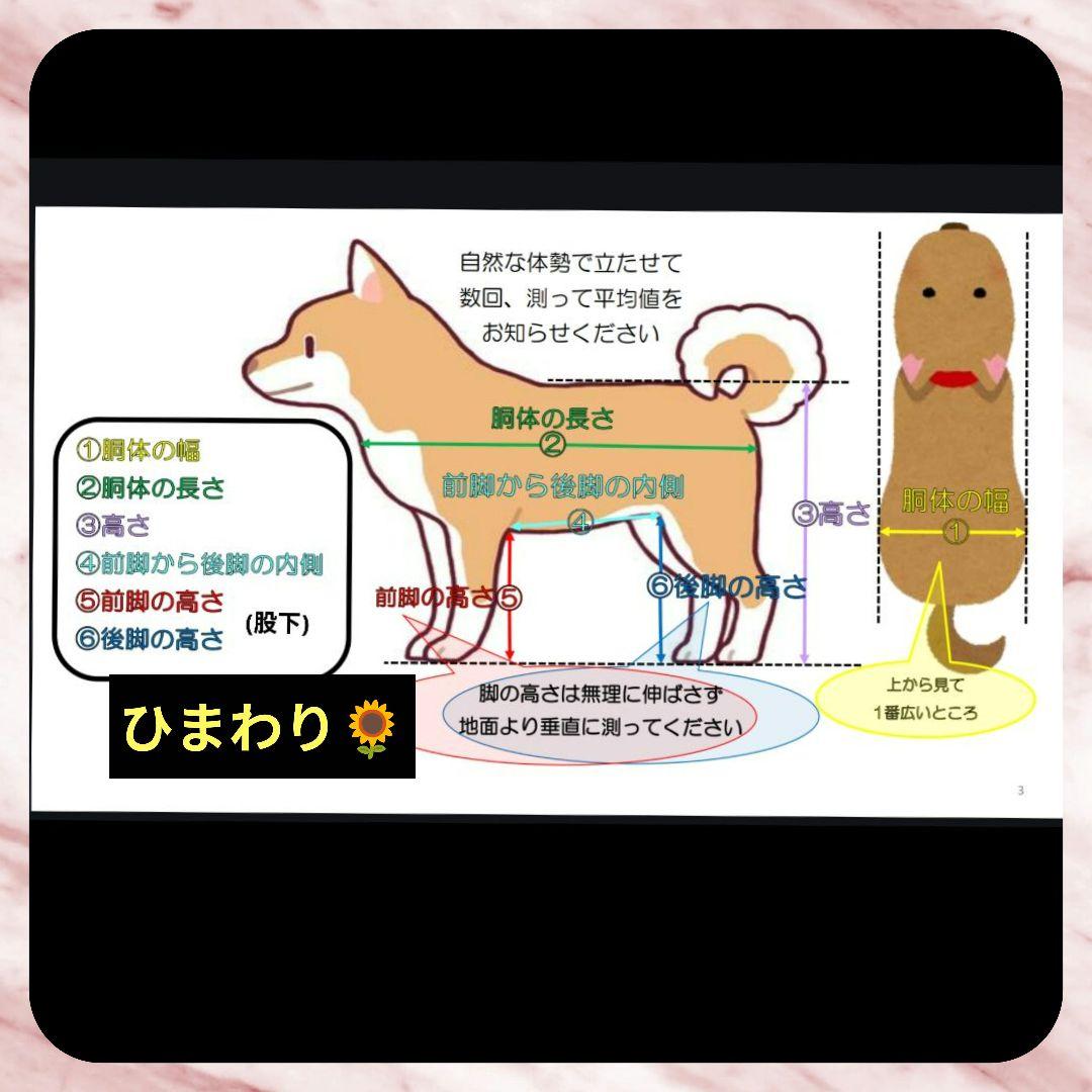 ワンちゃん4輪　リハビリ　食事補助　犬用車椅子　シニア補助　犬の歩行器