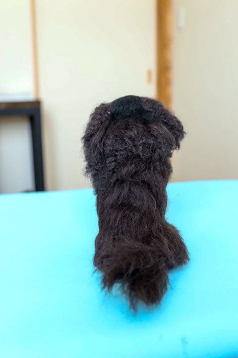 羊毛フェルト　ゴールデンレトリバー