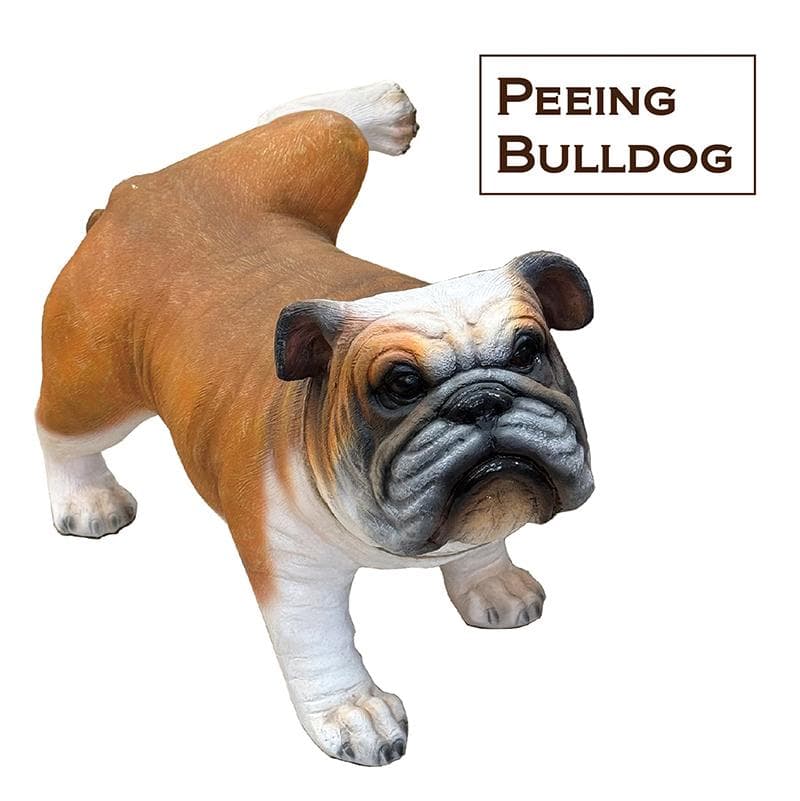 ★樹脂製 ブルドッグ 犬 イヌ リアル フィギュア オブジェ 置物