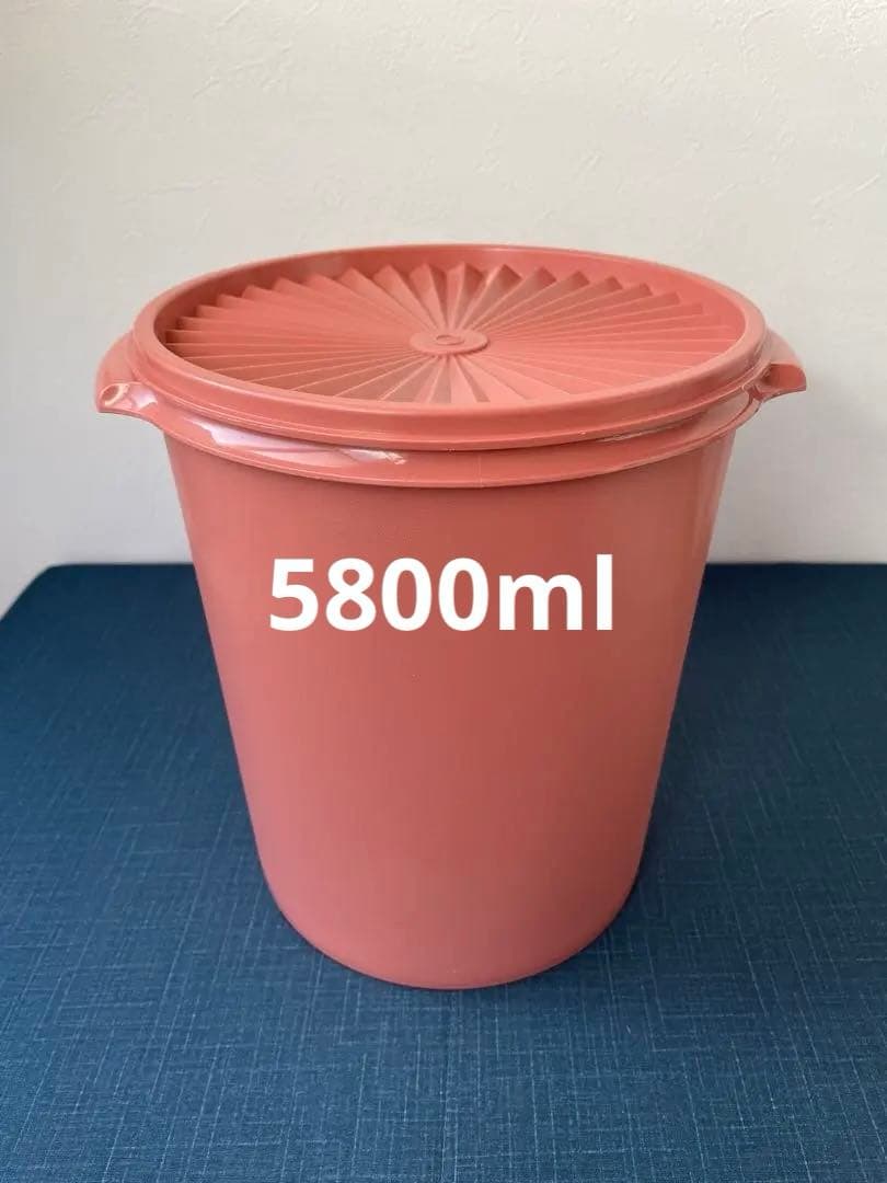 タッパーウェア　レインボークッカー　スチーマー　26cm 蒸し器