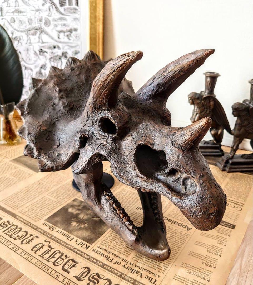 トリケラトプス インテリア オブジェ 雑貨 恐竜の化石 ジュラシックワールド