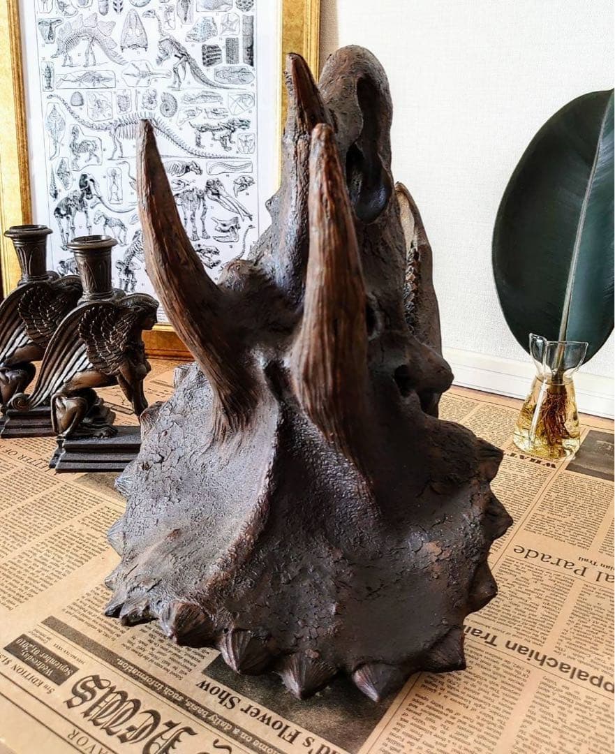 トリケラトプス インテリア オブジェ 雑貨 恐竜の化石 ジュラシックワールド
