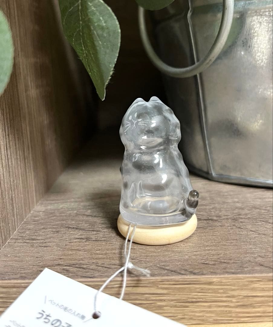 うちの子のけだまだま　猫　Mサイズ　新品未使用品