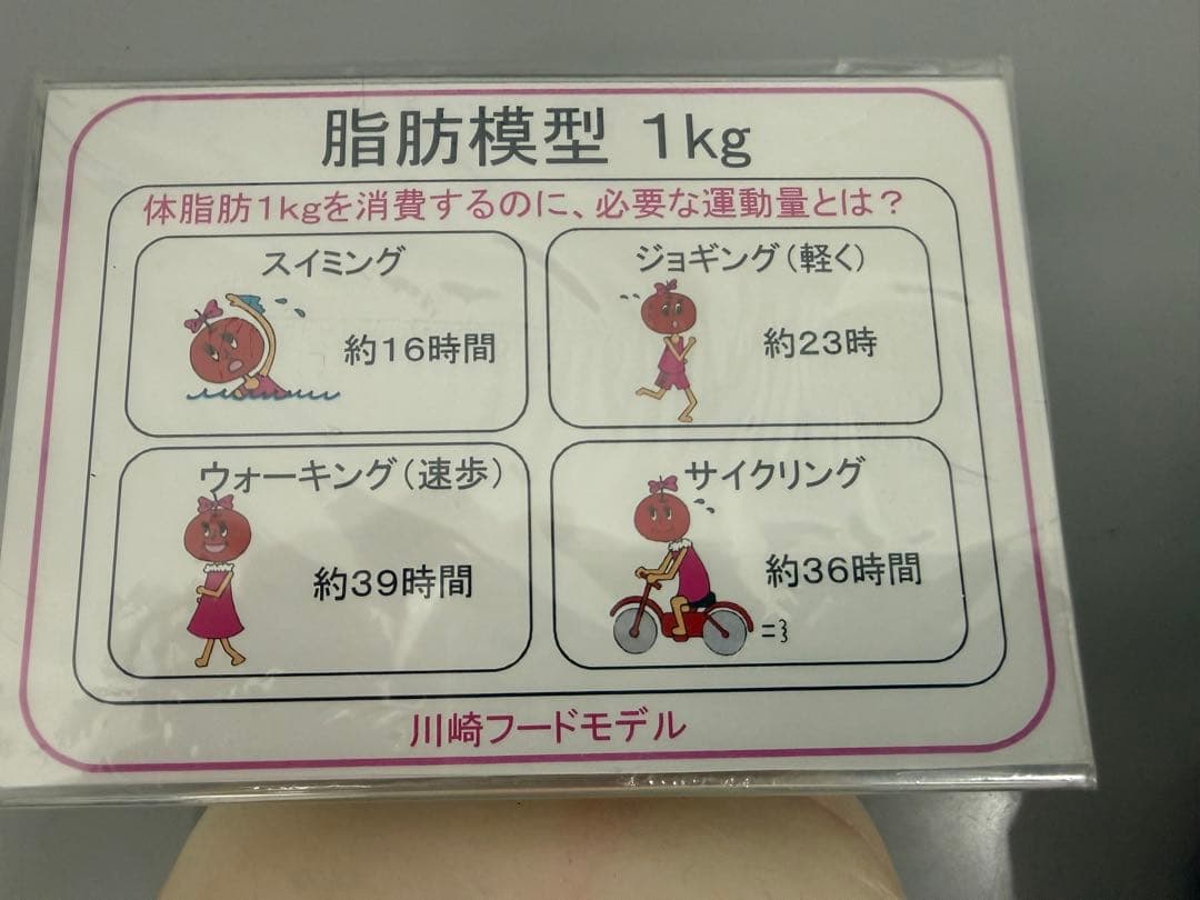【未使用】川崎フードモデル 脂肪・筋肉模型 1kgセット