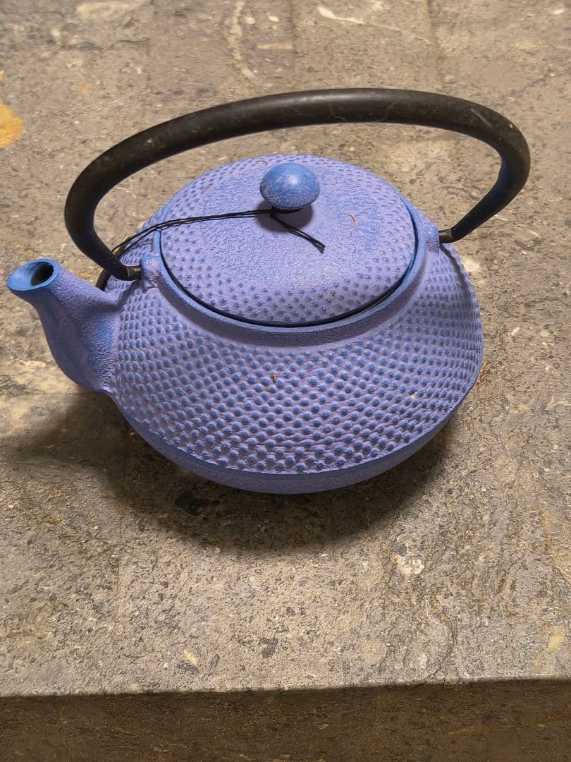 南部鉄器　急須　TEAPOT
