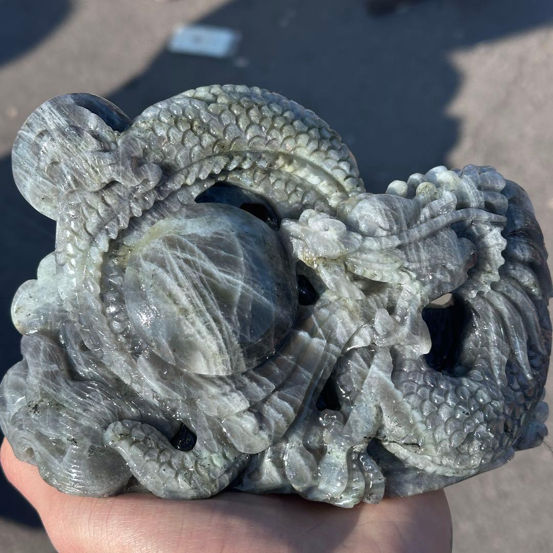 新潟狂う様確認専用