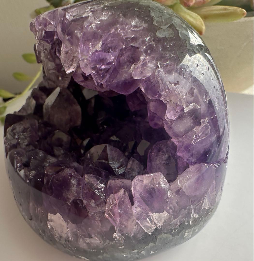 アメジスト がま口ドーム