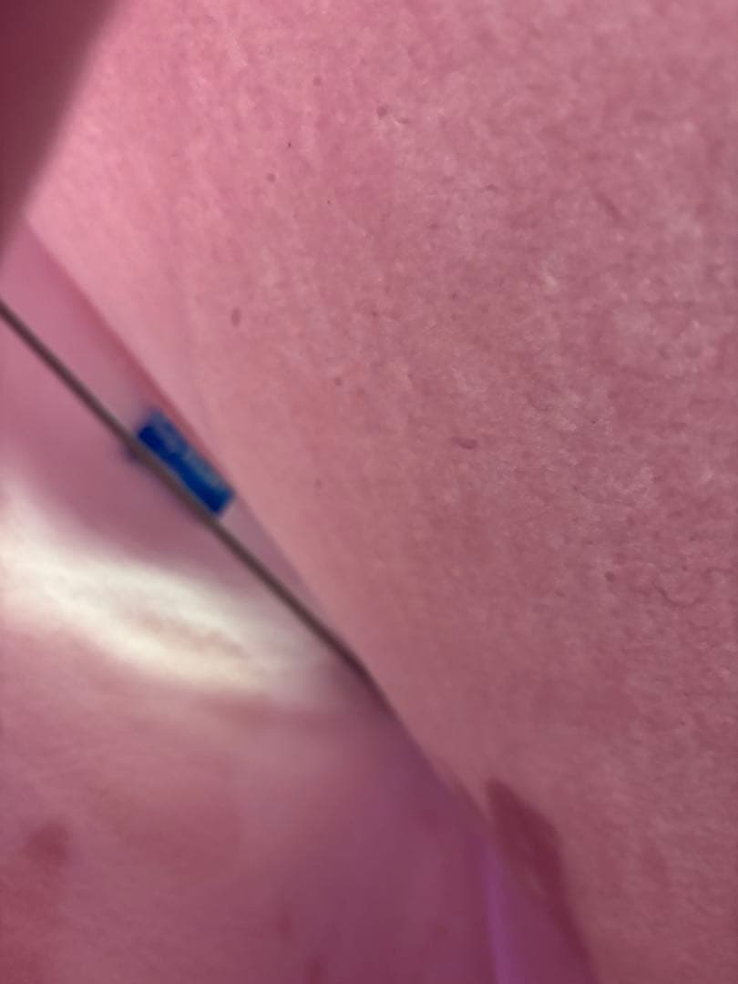 ミニー　トレーナー　パルパルーザ　ミニーのファンダーランド