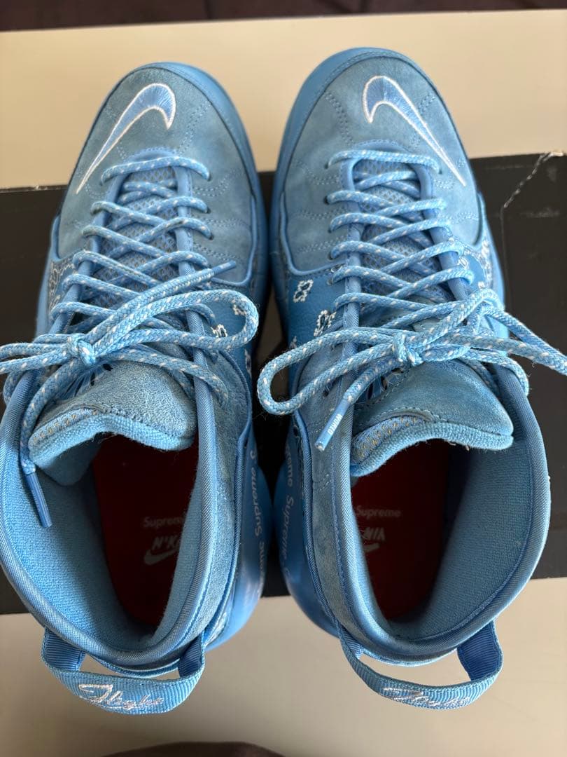 ナイキ　シュプリーム　ズームフライト95