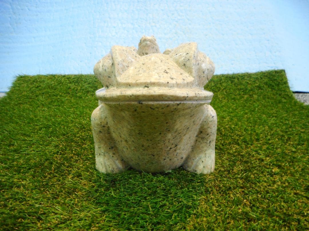 カエルの背に数匹の子