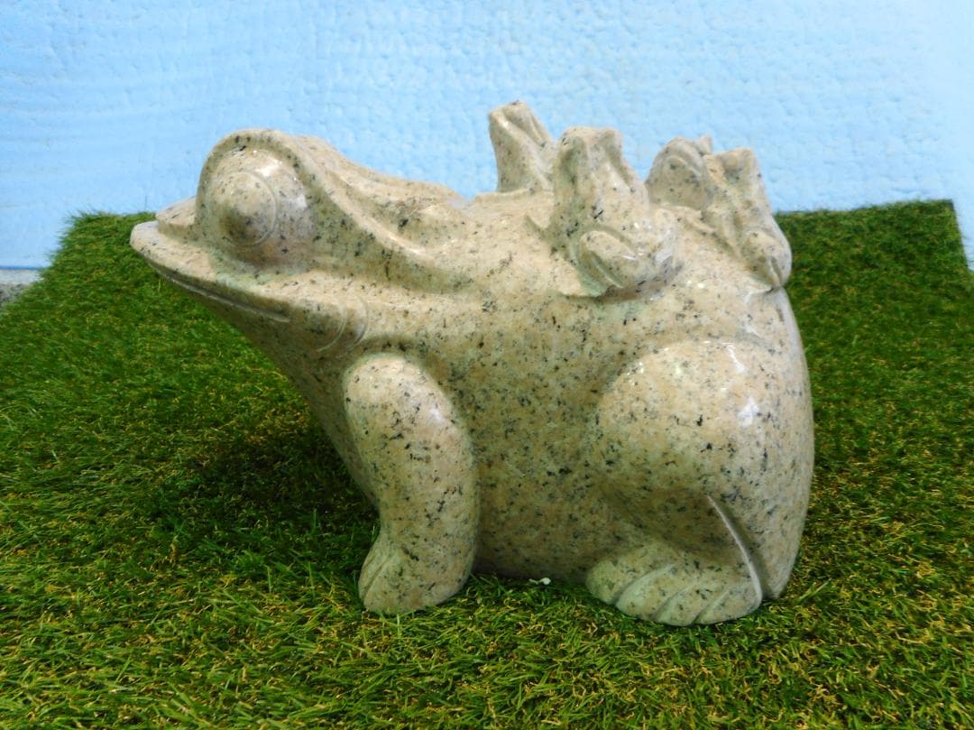 カエルの背に数匹の子