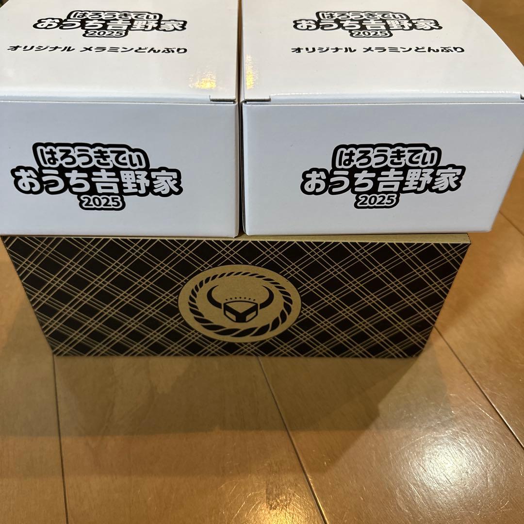 吉野家 はろうきてぃおうちで吉野家2025どんぶり2個 未使用