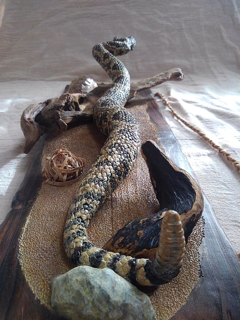 木彫りのガラガラヘビの置物 壁掛け