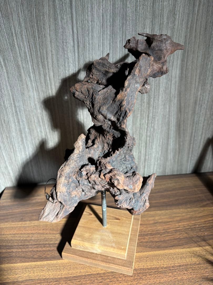 エアープランツ流木インテリア