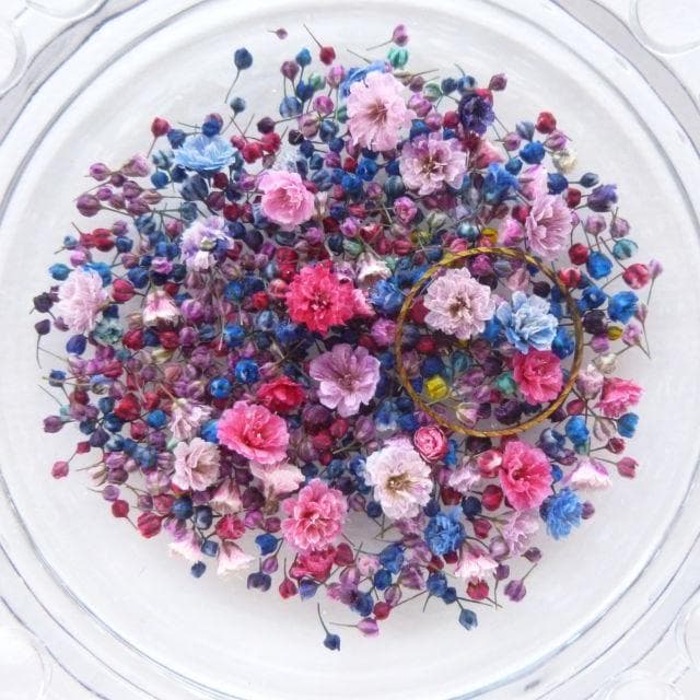 にゃーにゃ様◆【ドライフラワー】かすみ草の蕾 着色（847 レジン ）